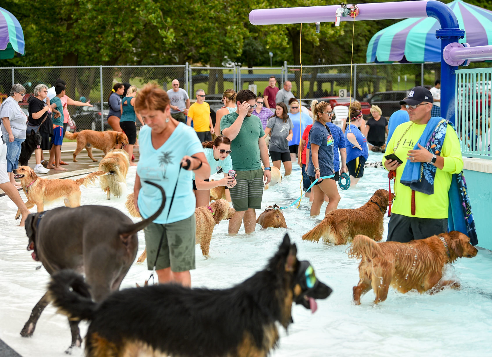 081919-mda-nws-furfriends-037a.JPG
